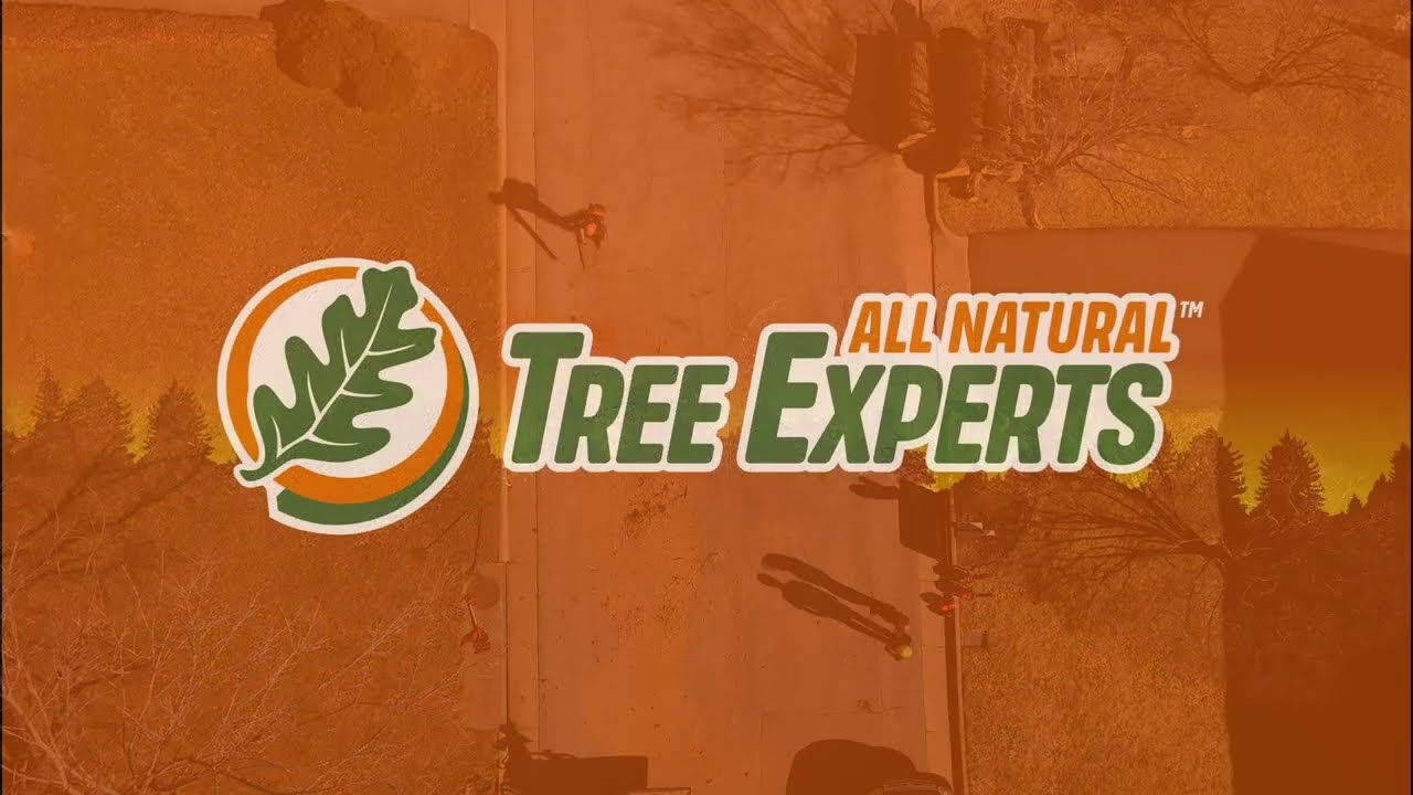 All Natural Tree Experts