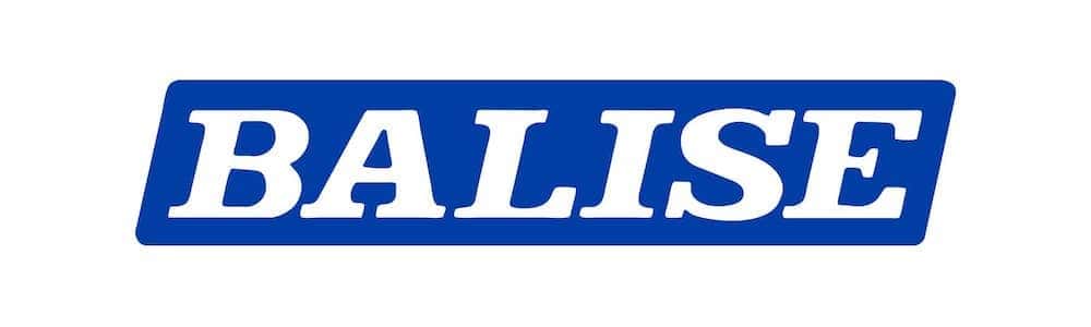 BALISE AUTO SALES INC