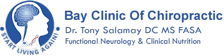 Bay Clinic of Chiropractic