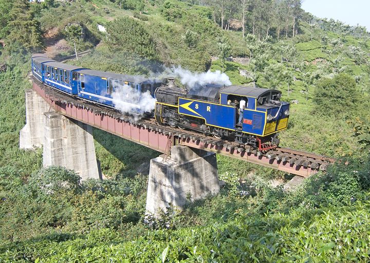 Blue Mountain Express