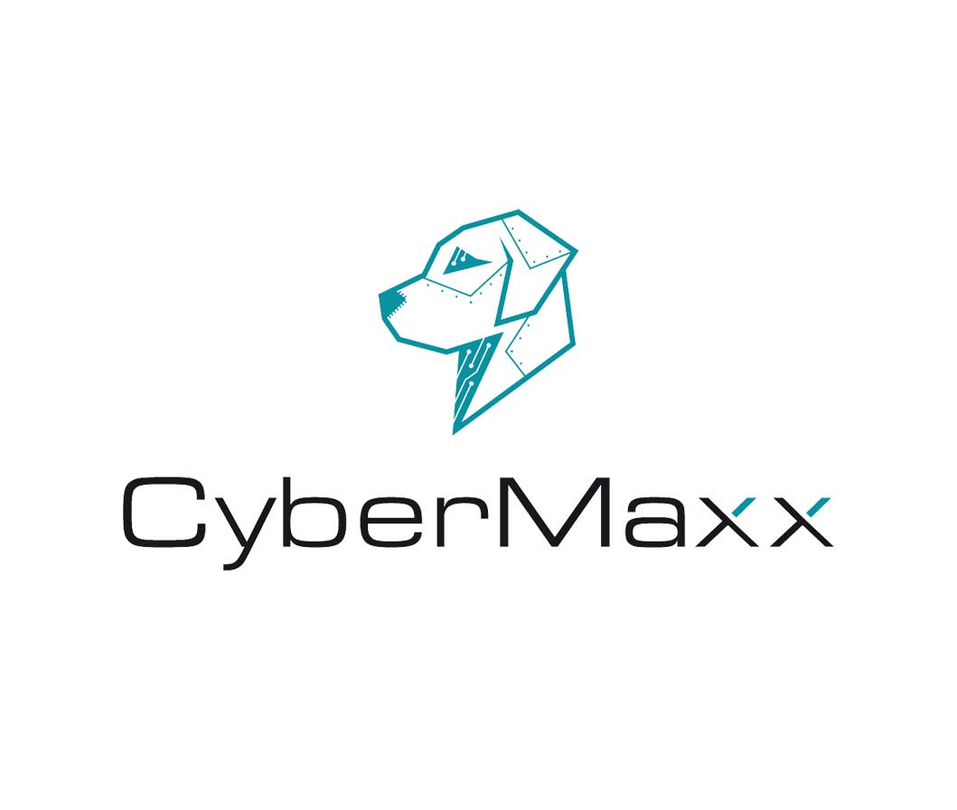 CYBERMAXX LLC