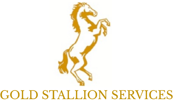 Gold Stallion Services Corp.