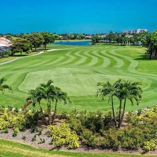 Gulf Harbour Yacht and Country Club
