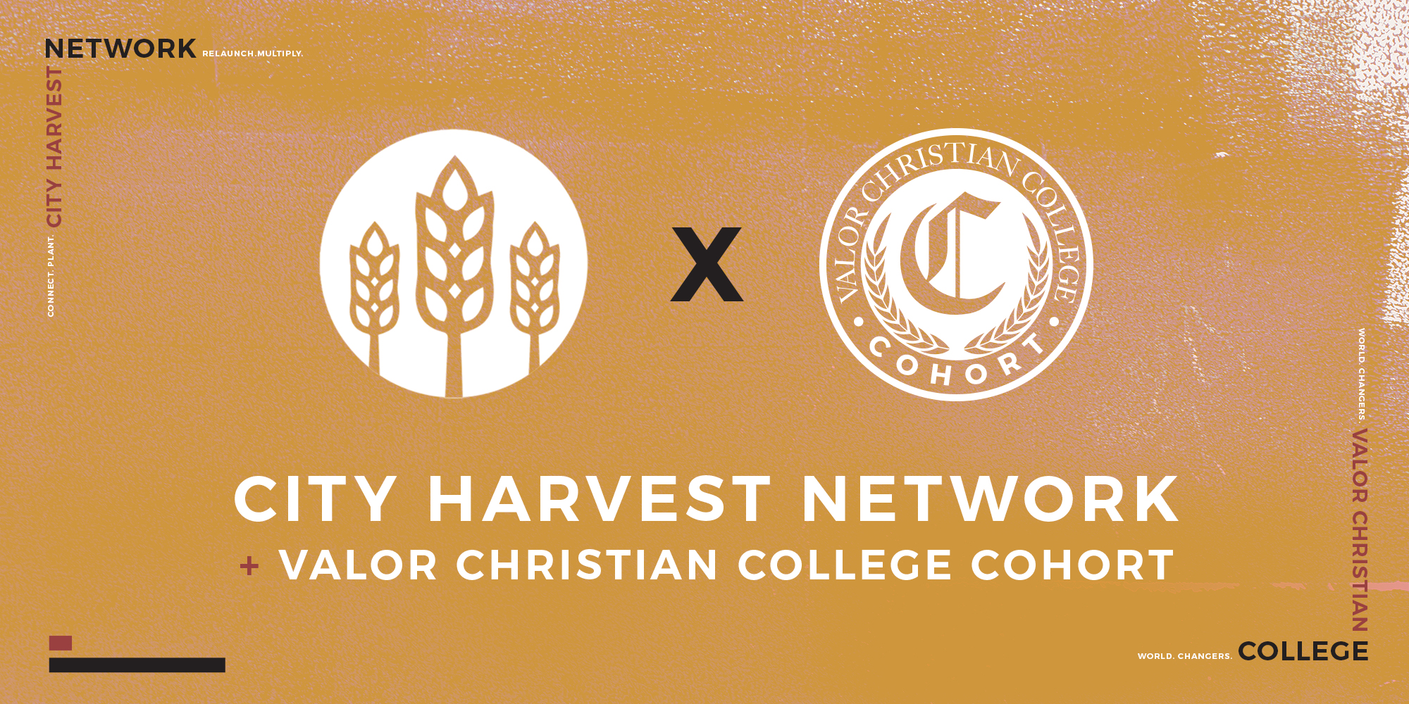 Harvest Networks