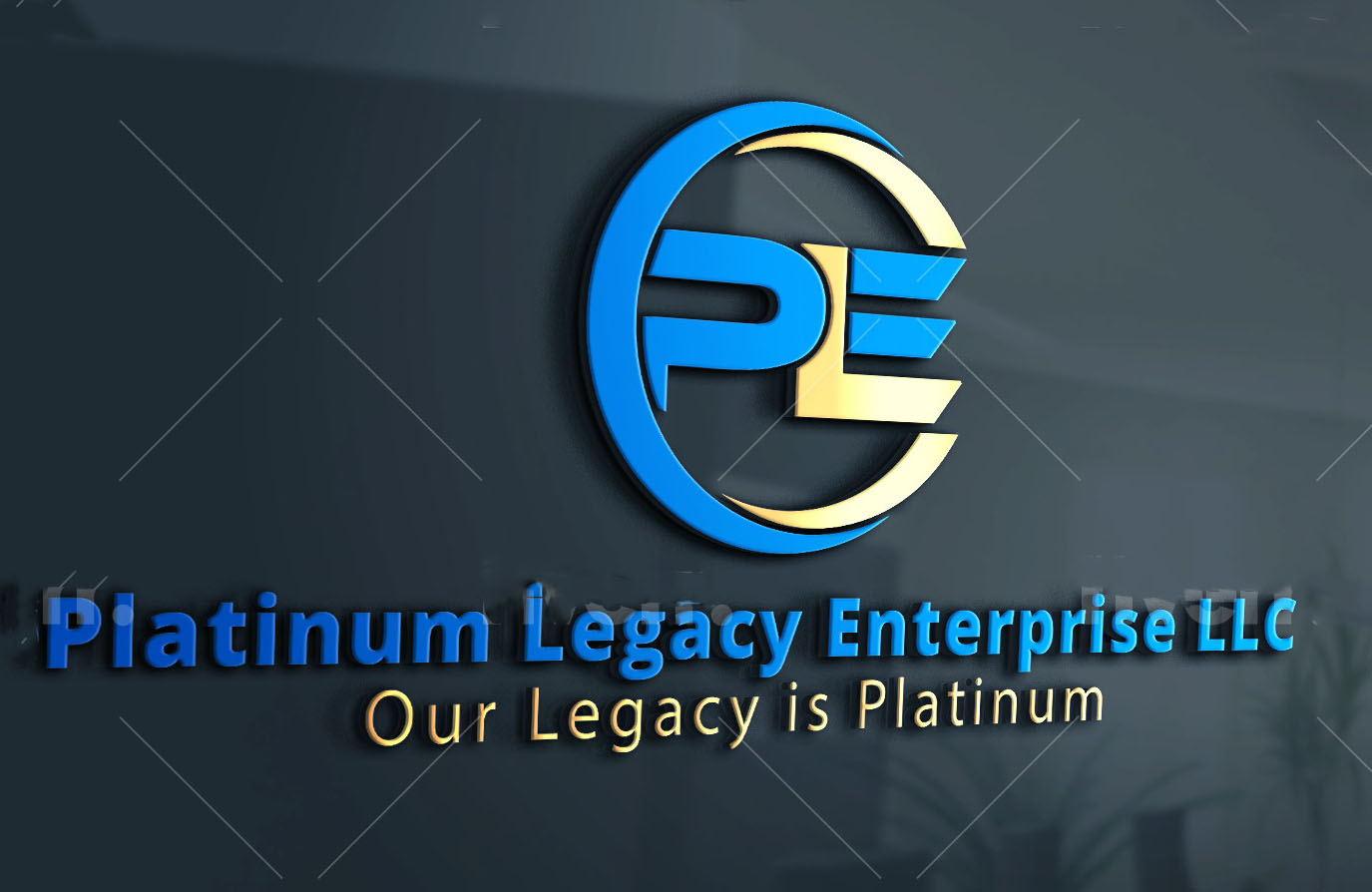 Legacy Enterprise LLC