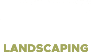 MD Landscaping