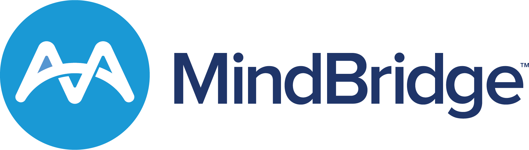 Mindbridge Solutions Inc
