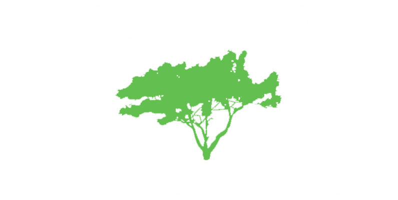 Nationwide Tree Service