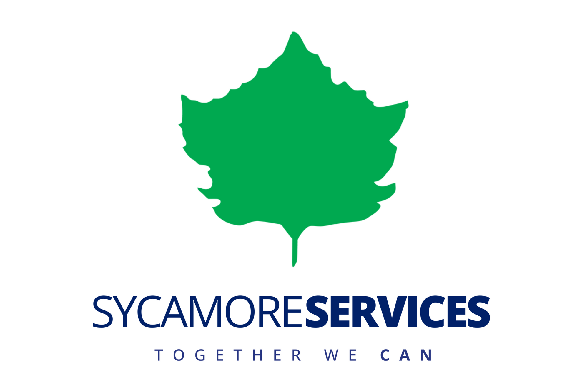 Sycamore Services, Inc