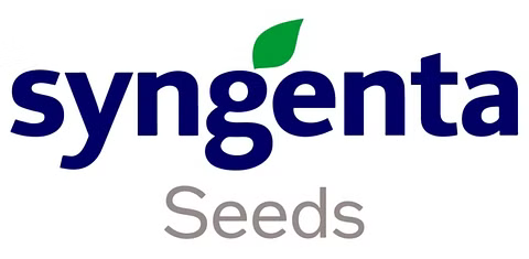 Syngenta Seeds