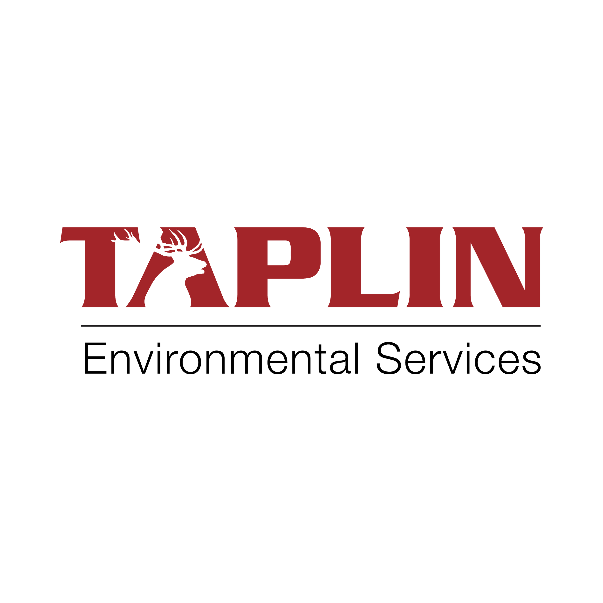 Taplin Group, LLC
