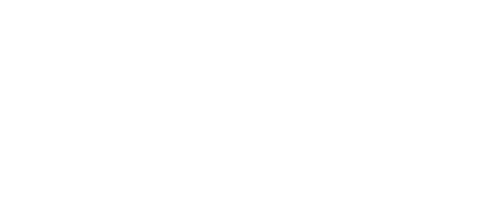 The Faricy Boys