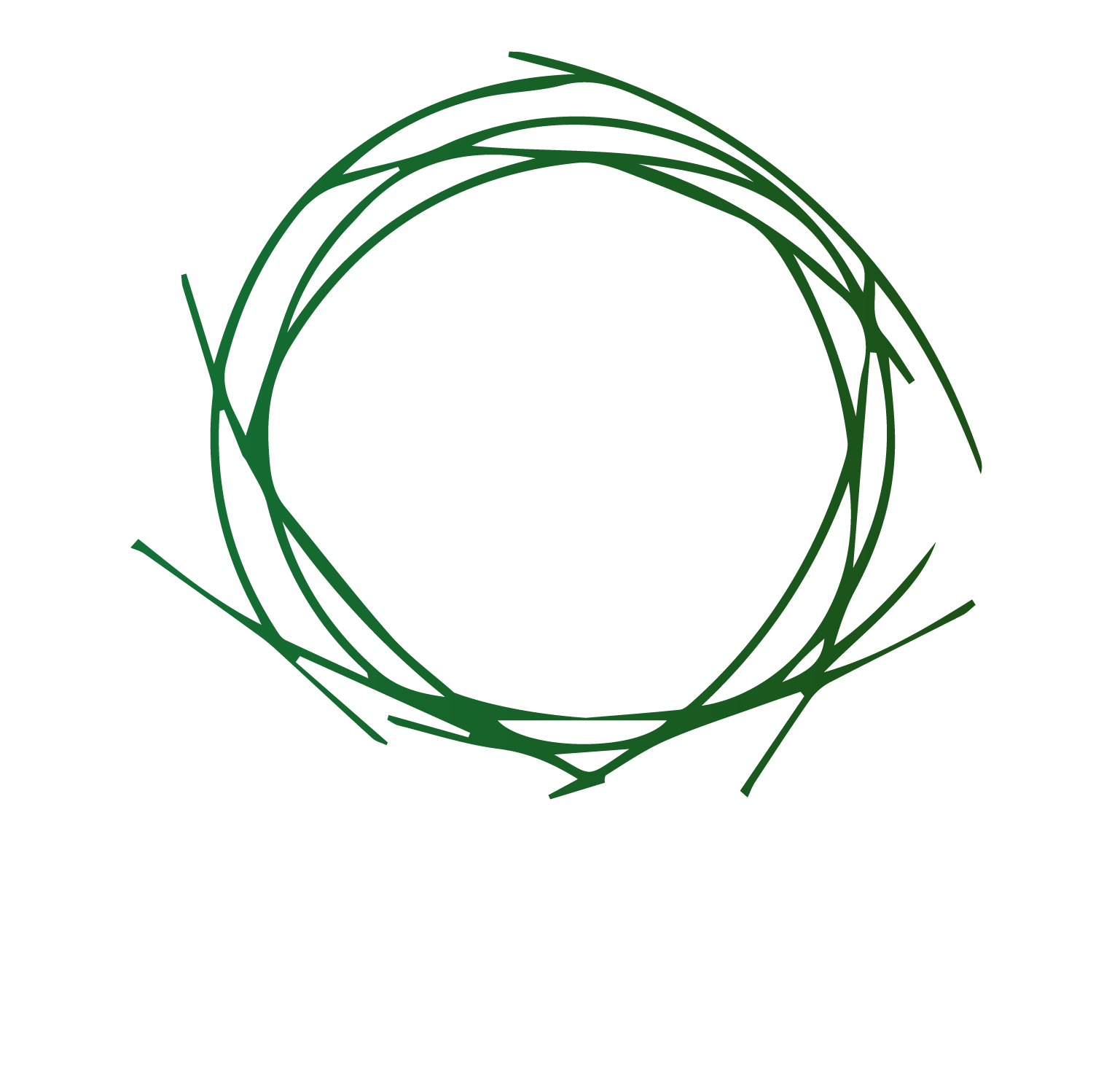Aarnest Inc