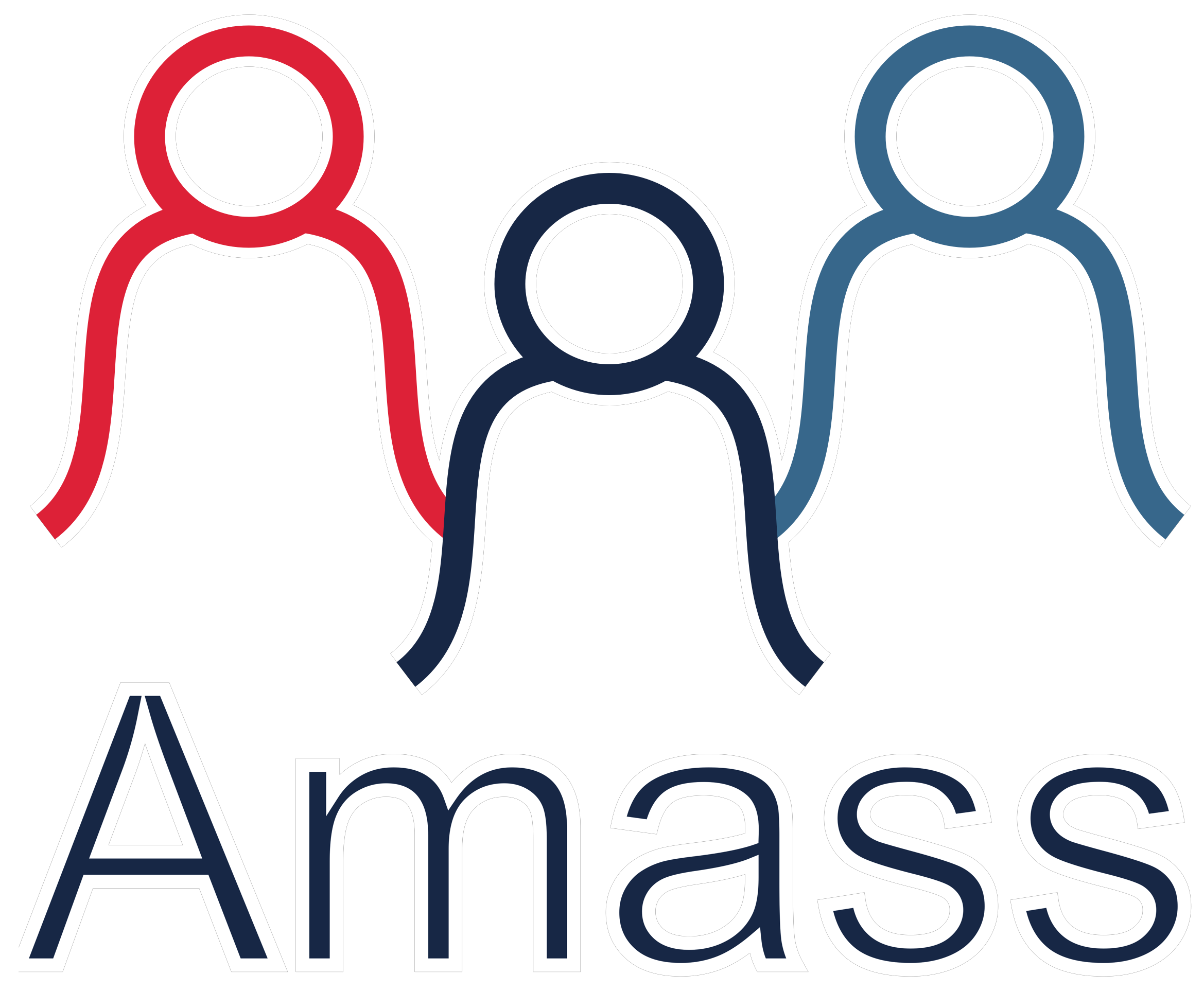 Amass Solutions LLC