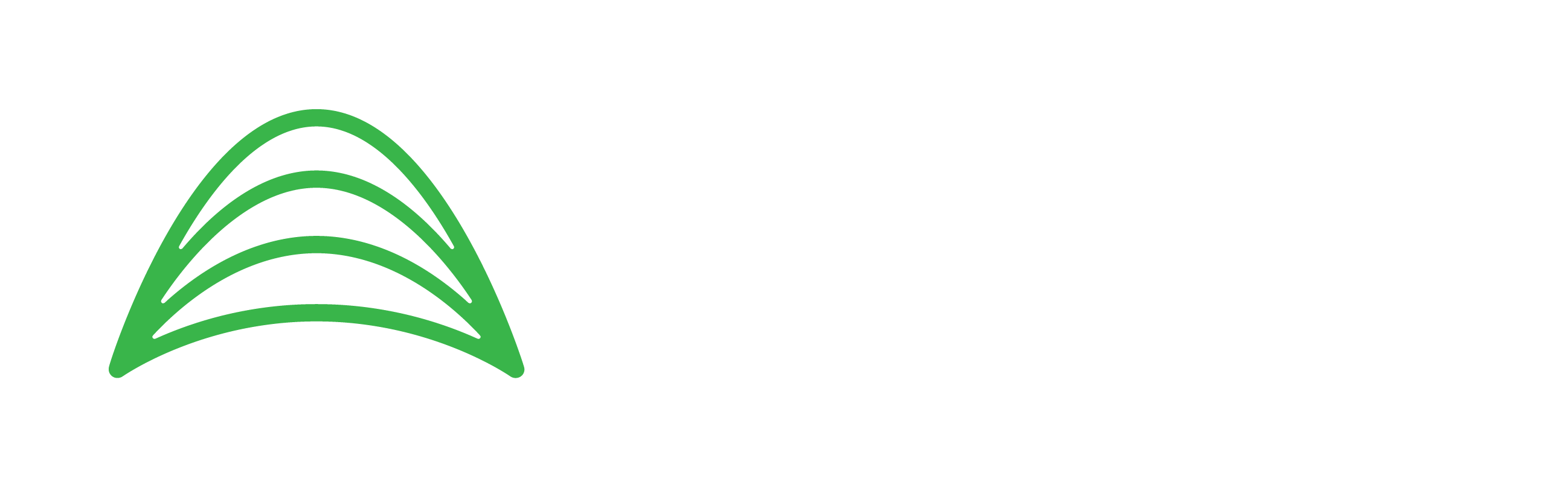 Amentum