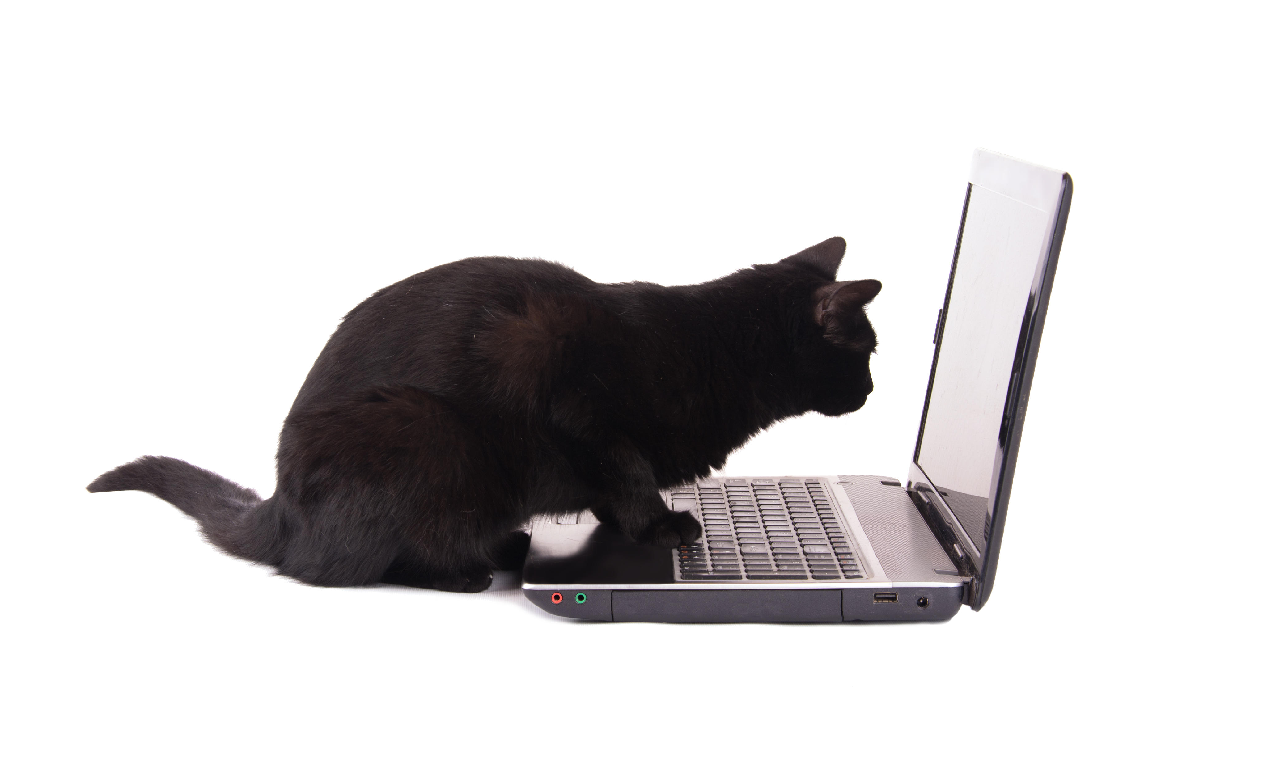 Black Cat Technologies