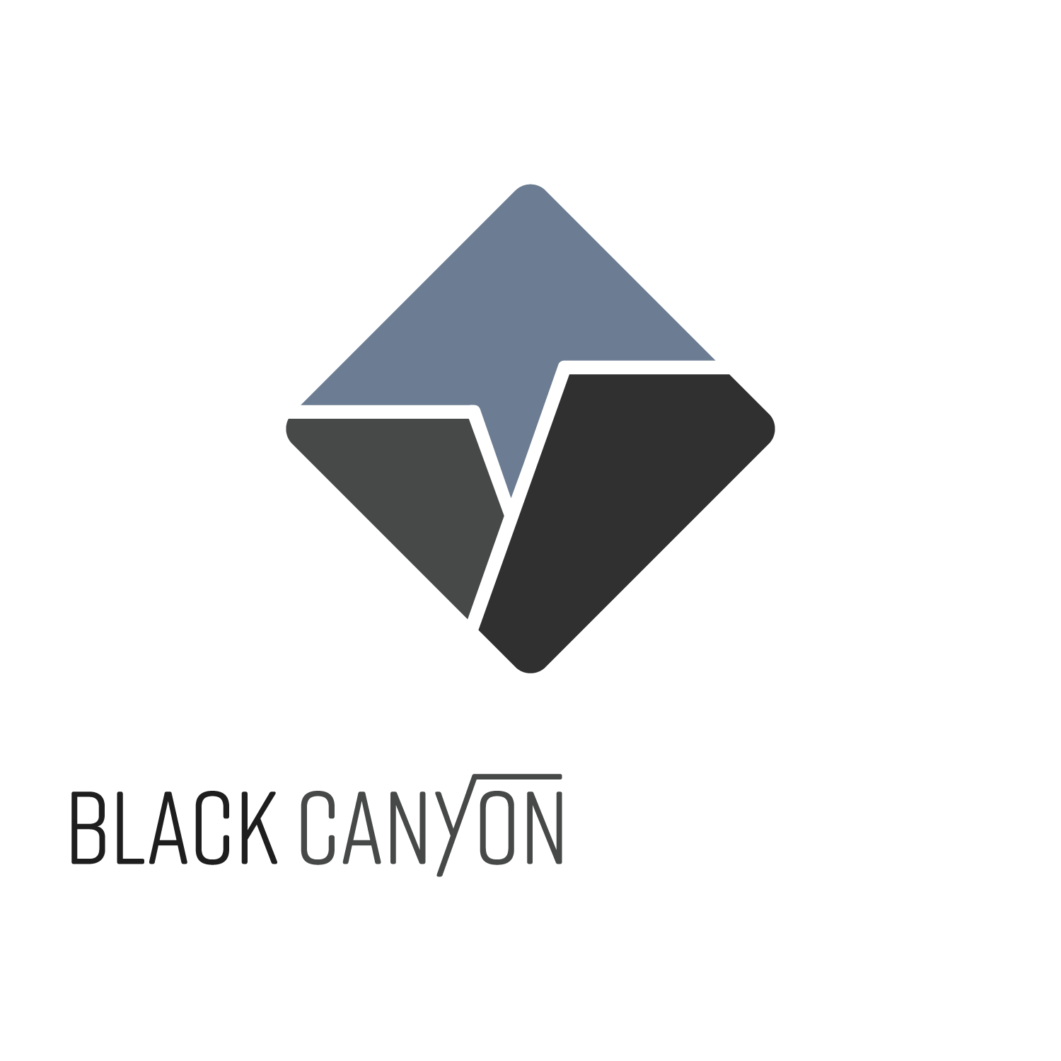Black Consulting Services, Inc.