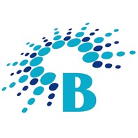 BlueSun Technologies, Inc.