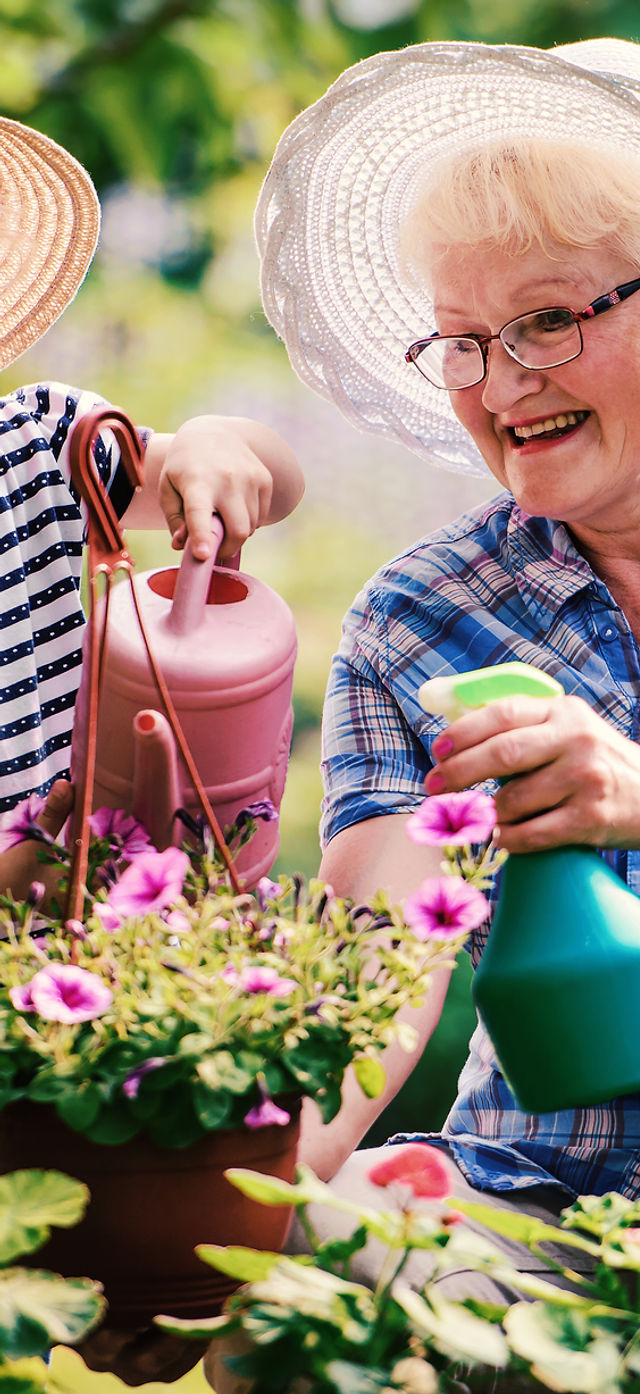 Bridges Home Services/Spectrum Generations