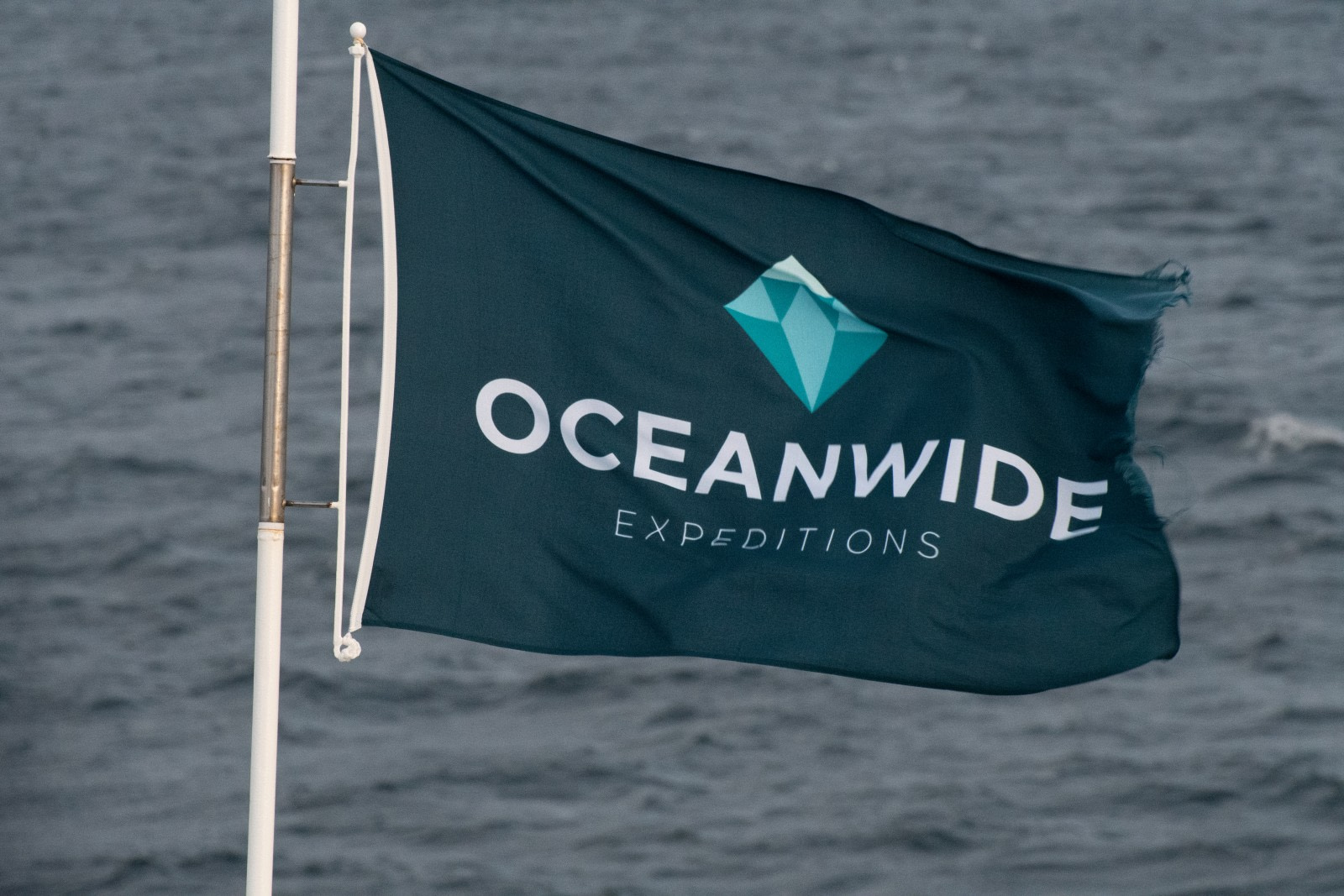 CEO Expeditions Inc.