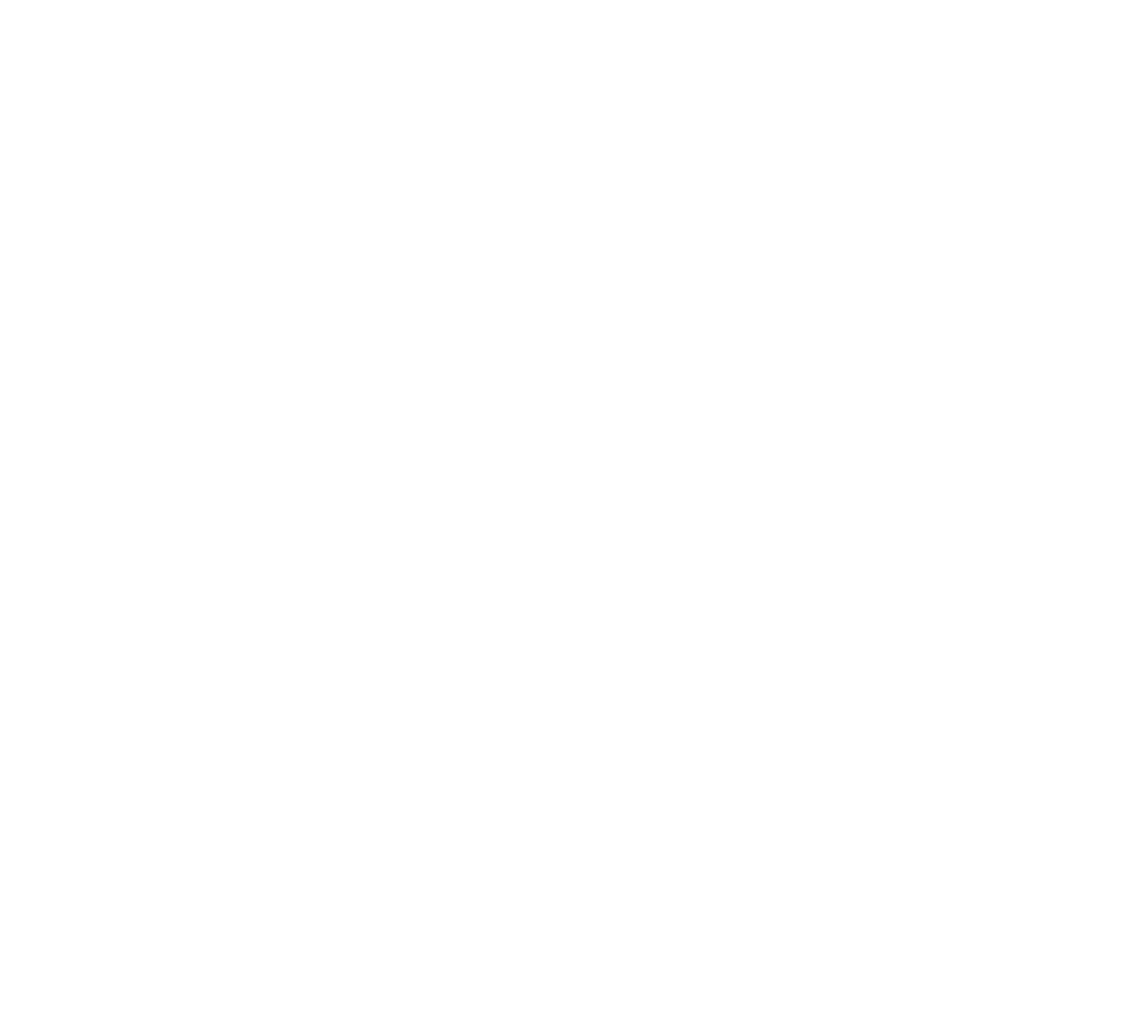 Compest Solutions Inc