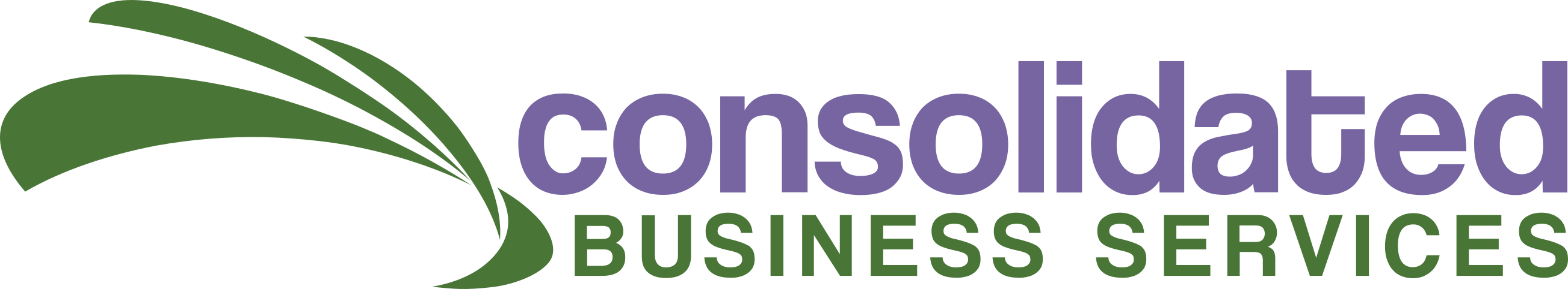 Consolidated Business Services (CBS)