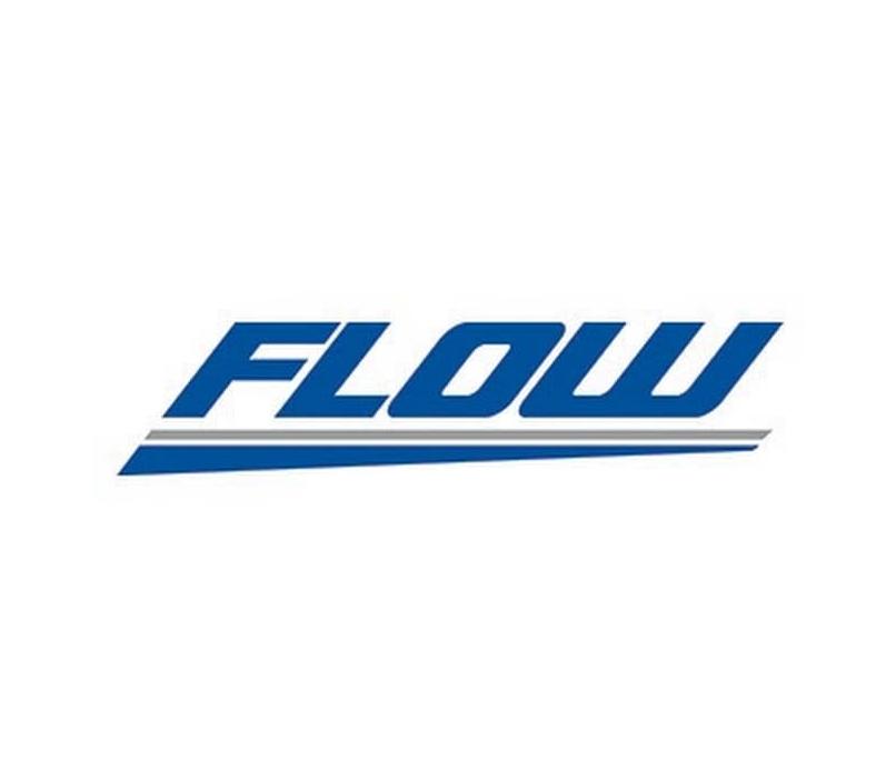Flow Automotive Companies