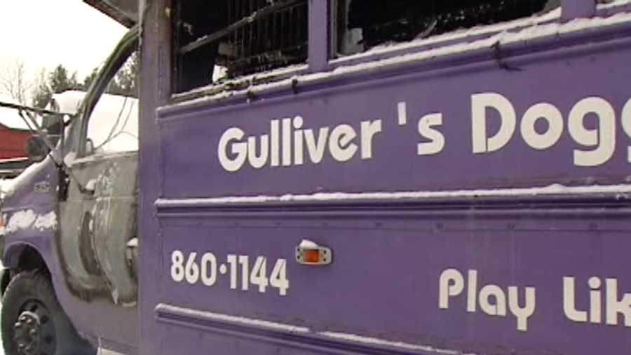 Gulliver's Doggie Daycare