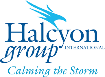 Halcyon Group International LLC