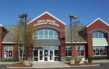 Hope Springs Veterinary at Great Bridge