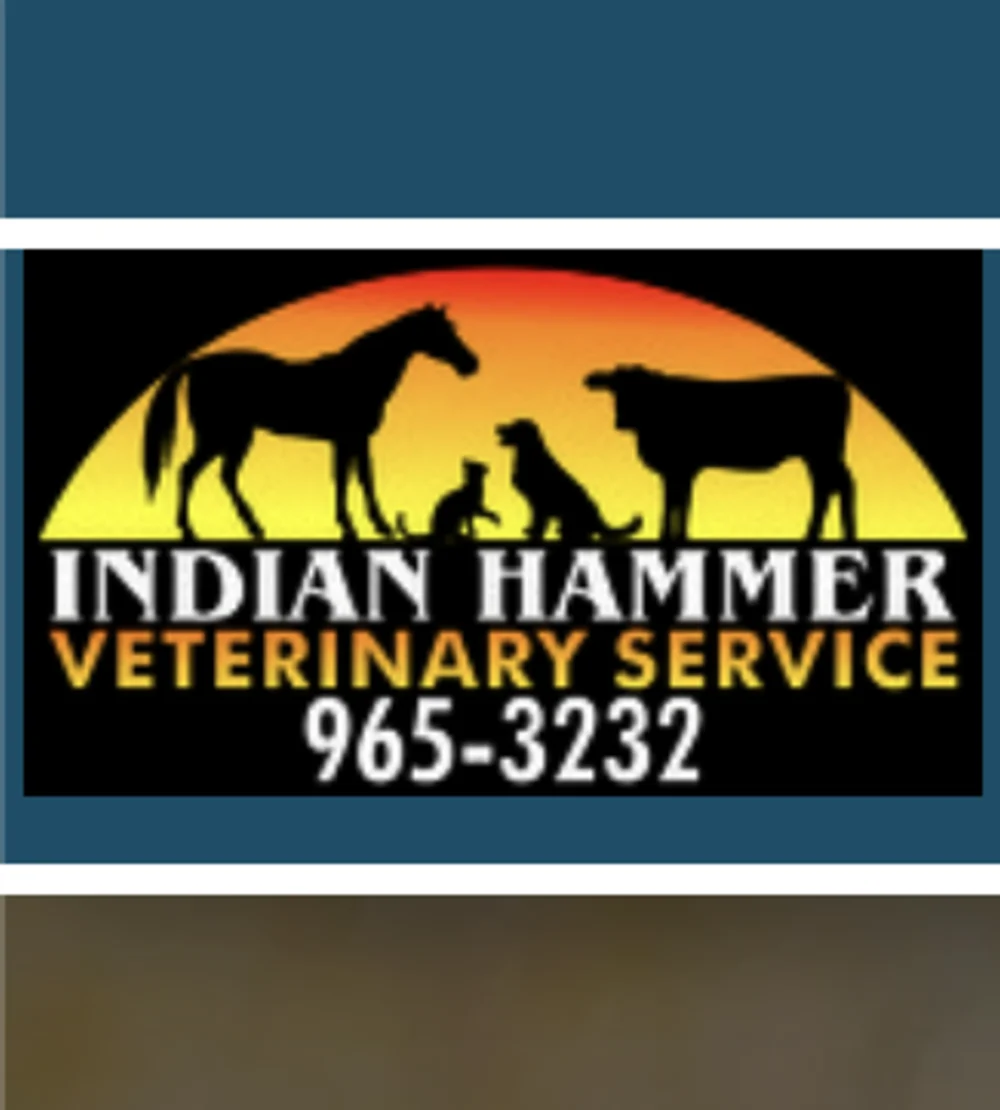 Indian Hammer Veterinary Service