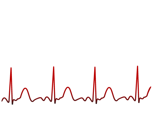 JCS Solutions LLC