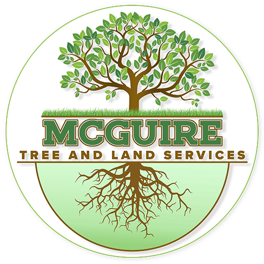 MCGUIRE SERVICES