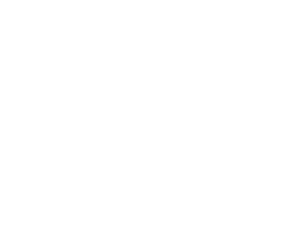 Metrix Inspection Group