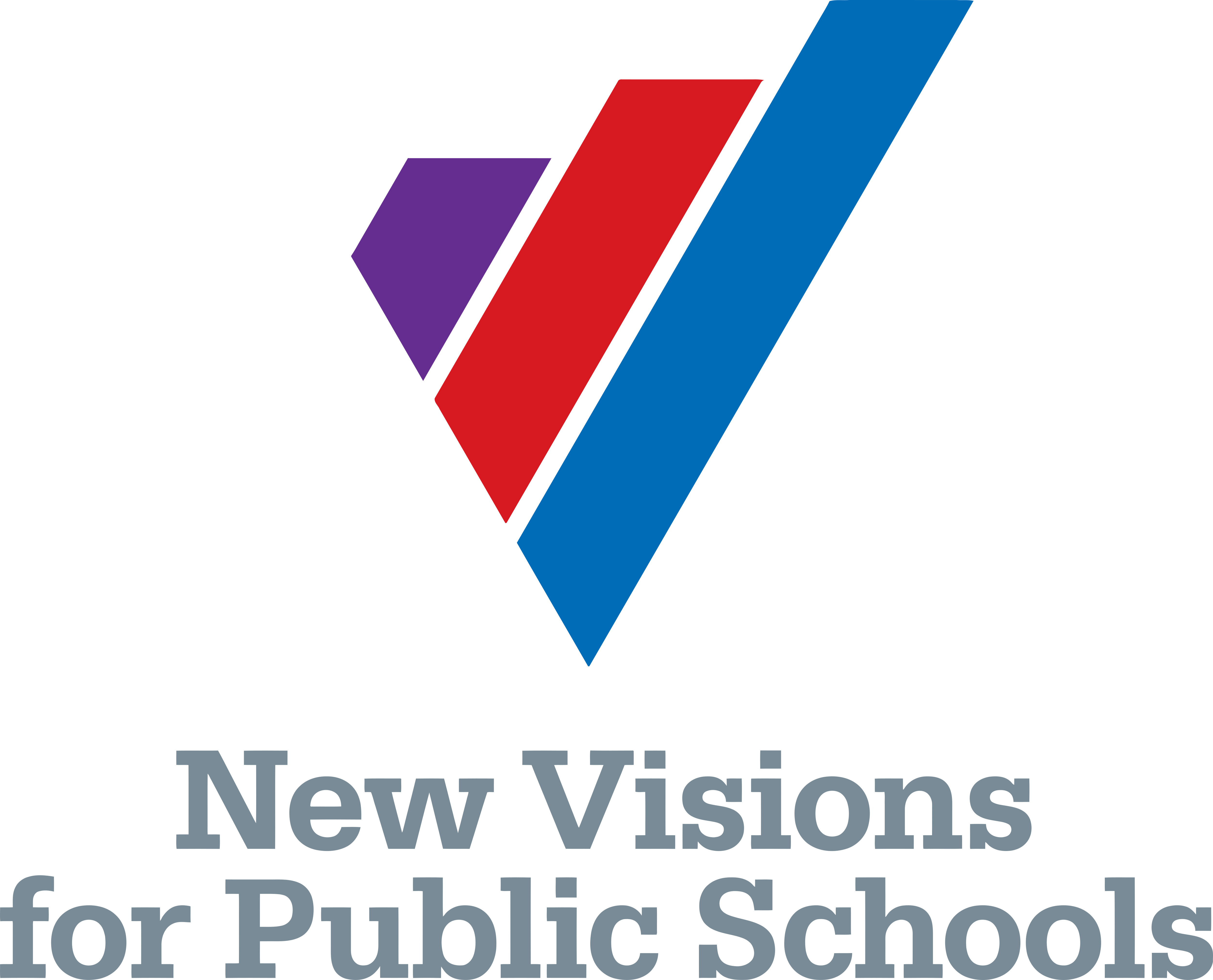 New Visions for Public Schools