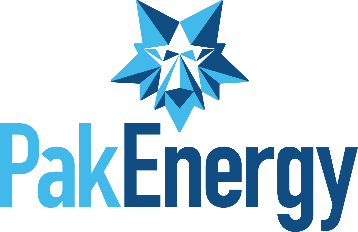PakEnergy, LLC