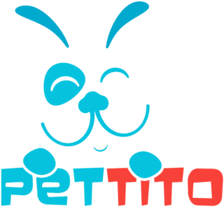 Pettito