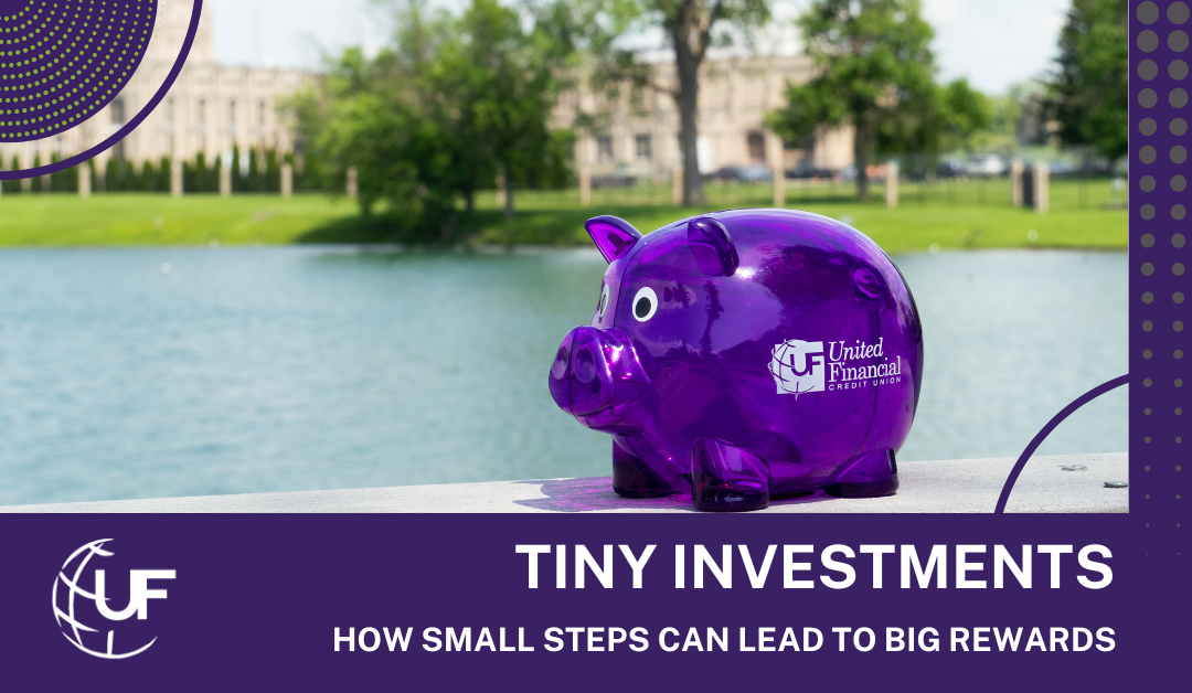 Purple Pig Marketing