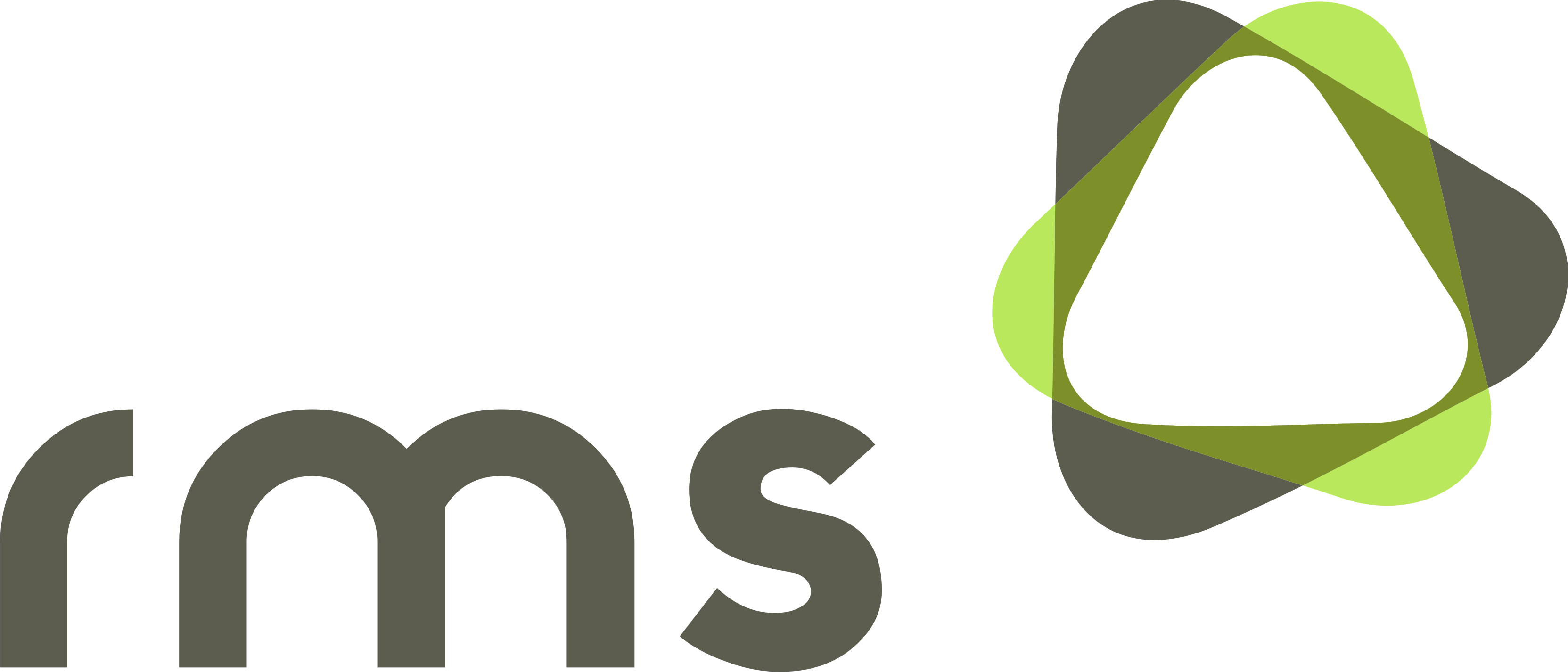 Revenue Management Solutions LLC