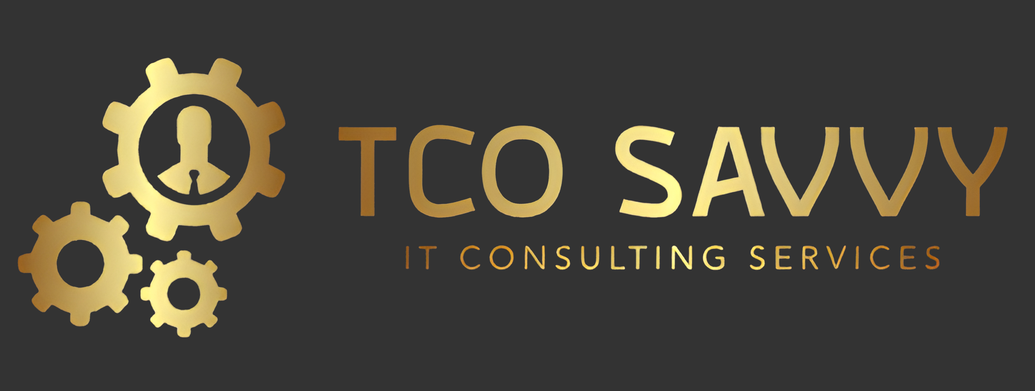 Savvy IT Consulting LLC