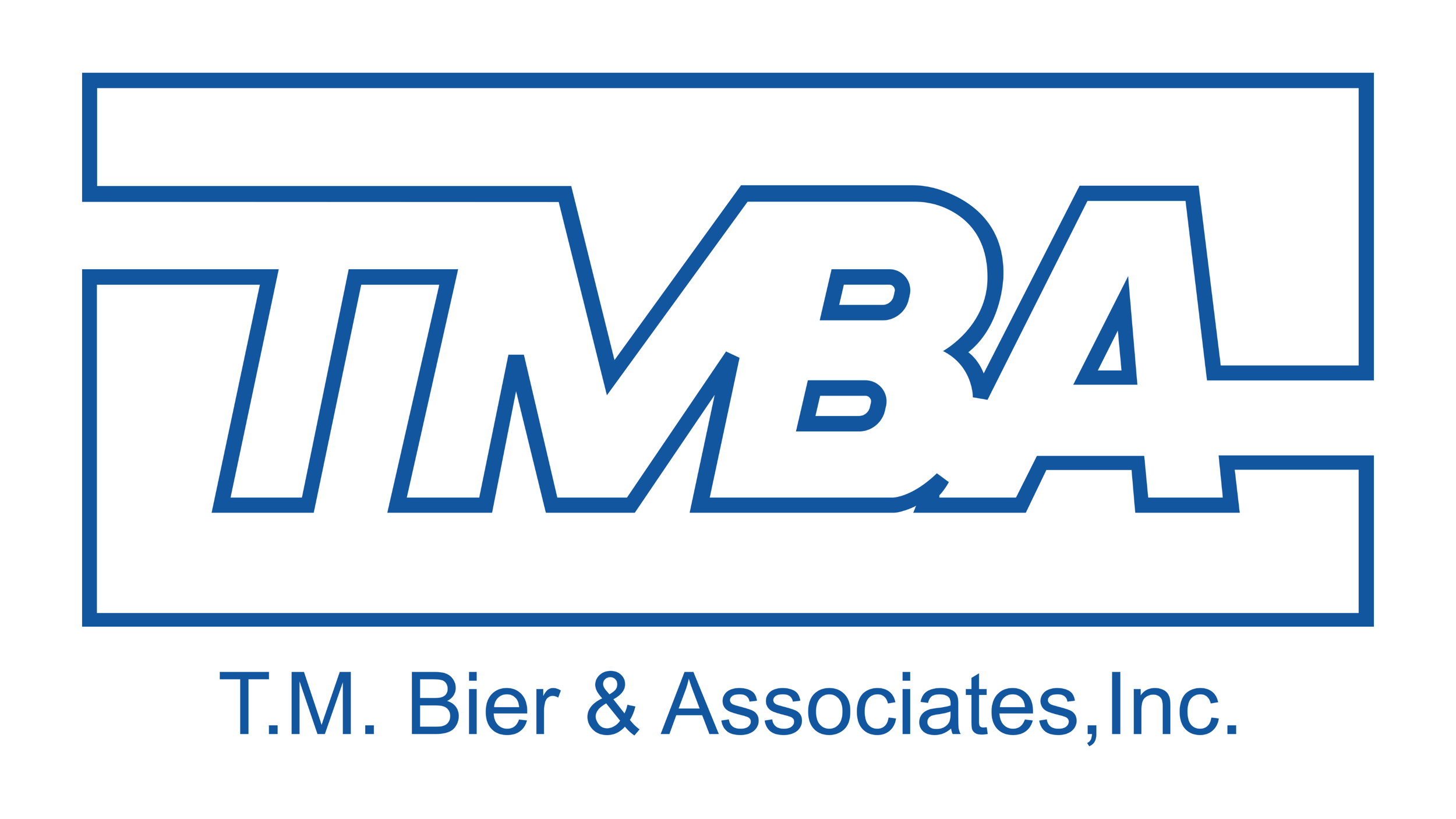 T.M. Bier & Associates