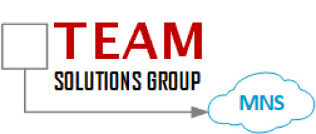 TEAM Solutions MNS Group Company LLC