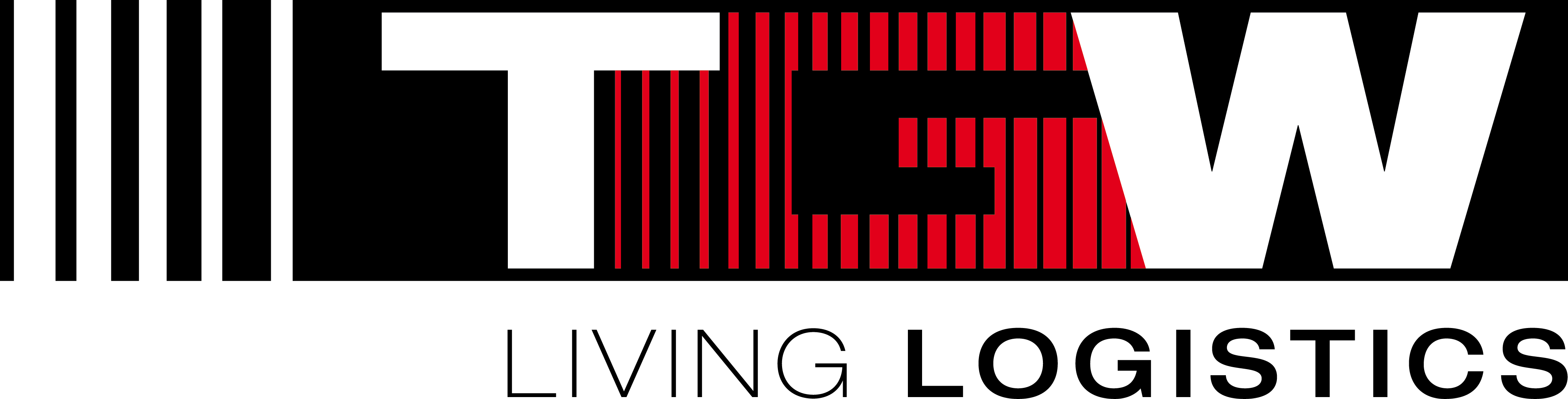TGW Systems Inc
