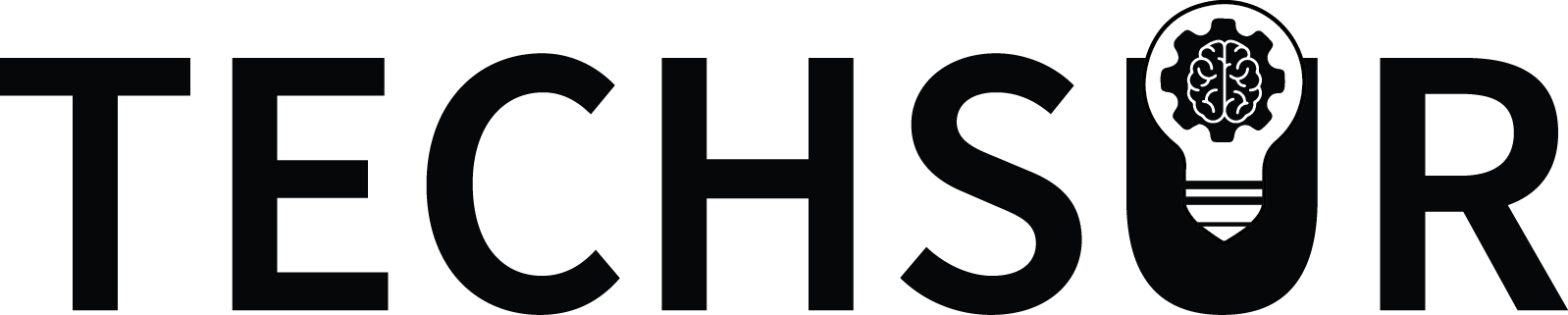 Techsur Solutions LLC