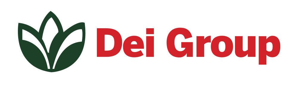 The DEI Group