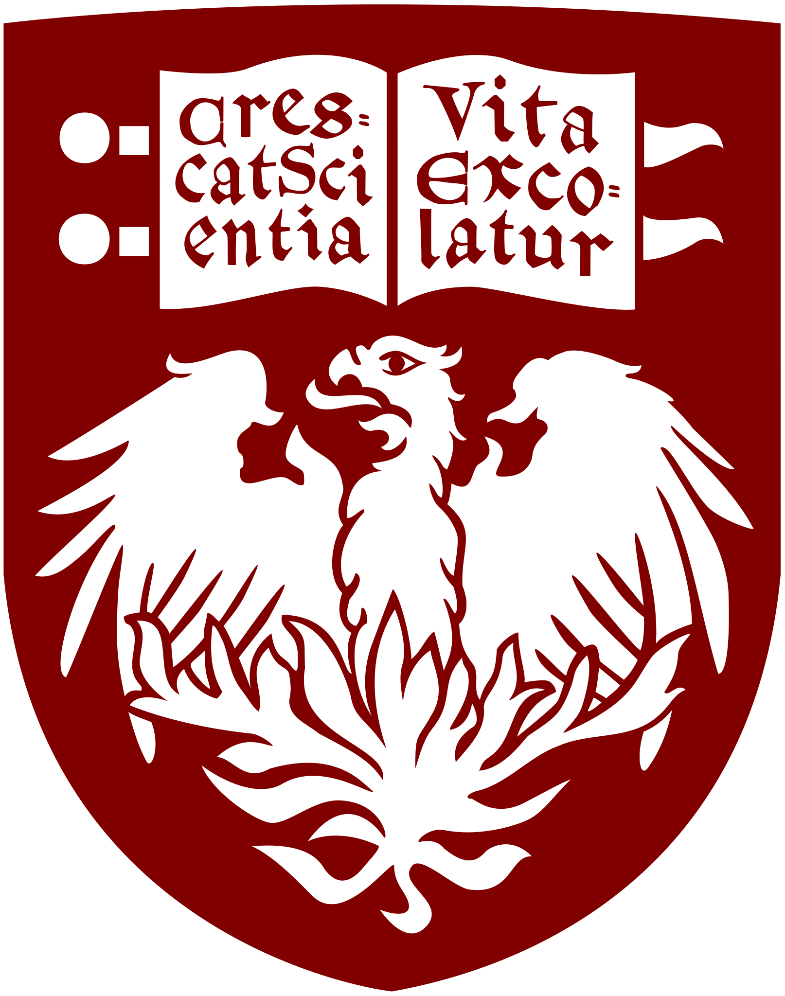 The University of Chicago