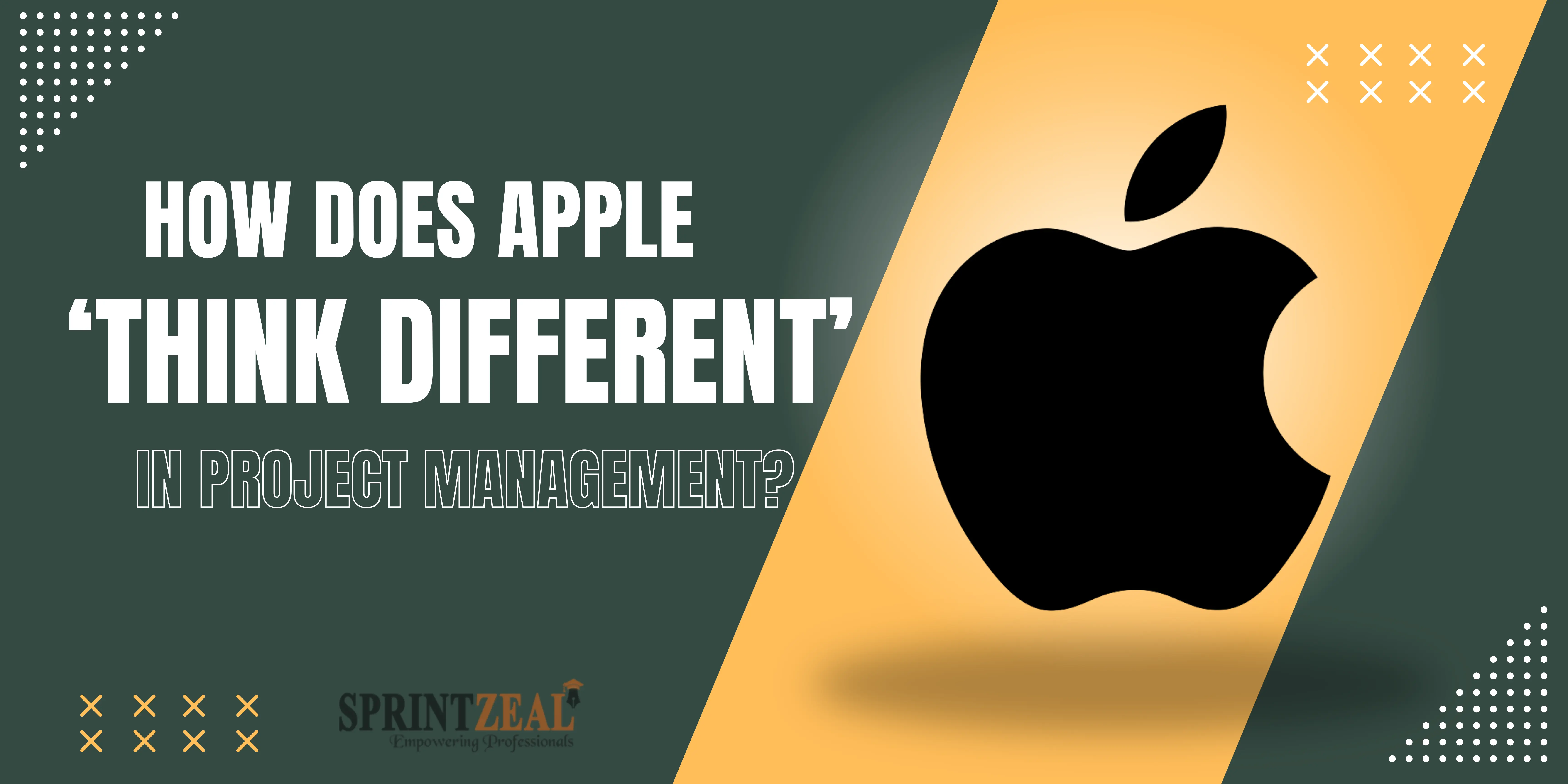 Think IT Project Management LLC