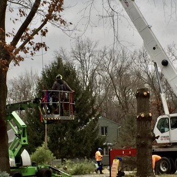 Total Tree Care of Iowa City