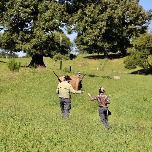 Windy Hill Farm & Preserve